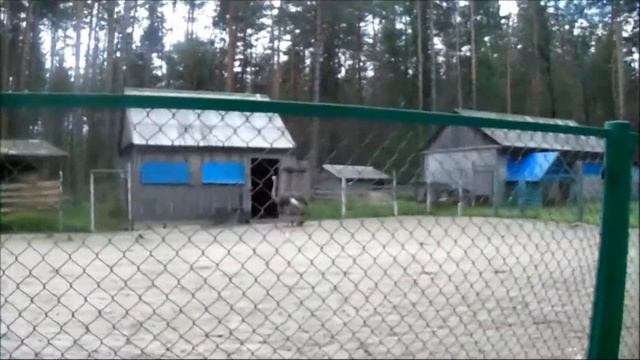 ОРЛОВСКОЕ ПОЛЕСЬЕ /НАЦИОНАЛЬНЫЙ ПАРК/ЗАПОВЕДНИК