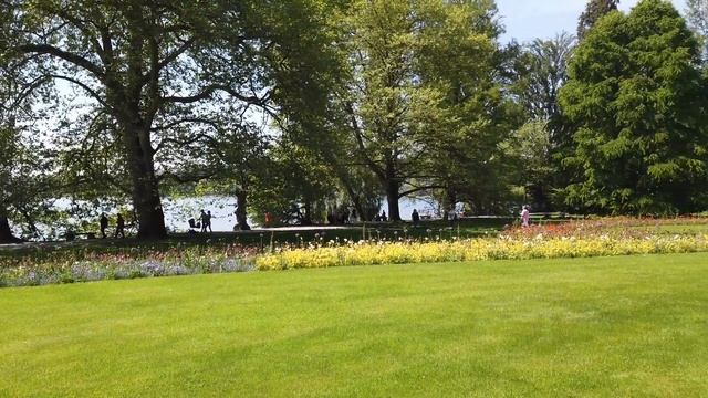 Insel Mainau | Bodensee | Constance, Germany | Hidden Paradise Island | DJI Osmo Pocket смотреть онлайн
