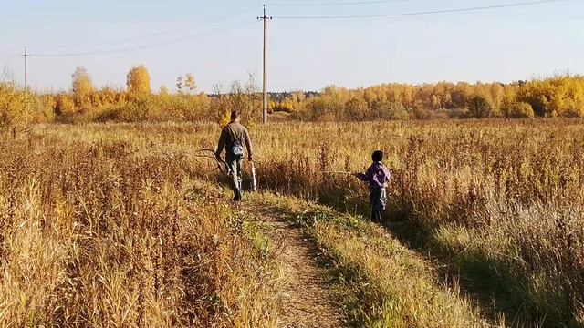 поход. гуляем по Тюменскому лесу.