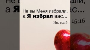 Ин. 15:16 Не вы Меня избрали, а Я избрал вас... 15 05 2022