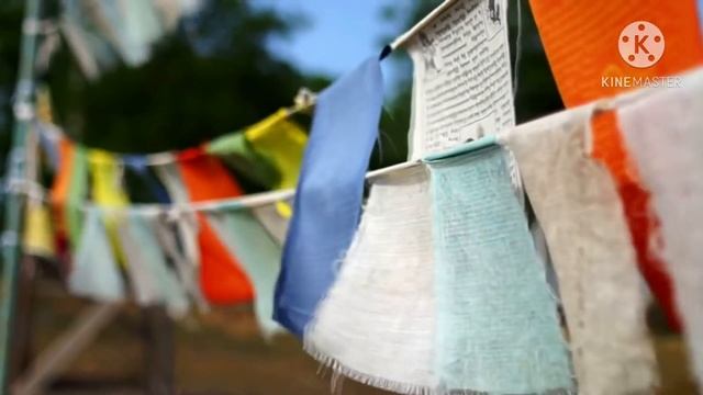 ЗҮЛ ПРАЗДНИК ТЫСЯЧИ ЛАМПАД !!! смотреть онлайн