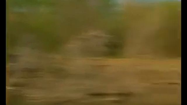 AMNIHOOK Рыбалка с экспертами смотреть онлайн