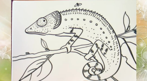 Рисуем Хамелеона смотреть онлайн