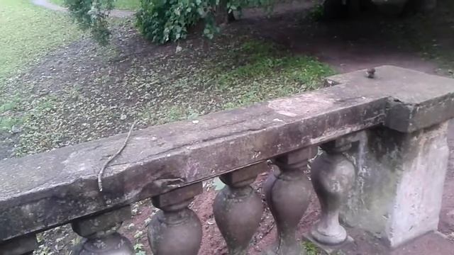 Большие синицы, поползни и домовые воробьи