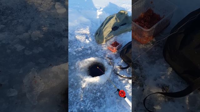 Рыбалка удалась смотреть онлайн