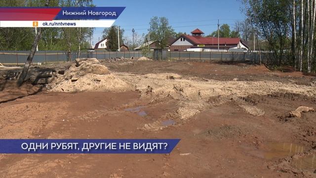 В поселке Володарского Канавинского района в водоохранной зоне начали вырубку деревьев