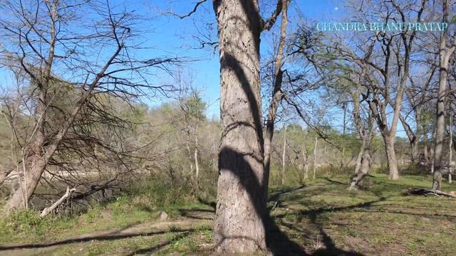 "Journey of a Dreamer: Inspirational Adventures, Authentic Stories, and a Life of Exploration" смотреть онлайн