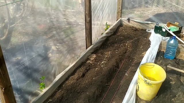 теплица с тёплыми грядками +подогрев кабелем