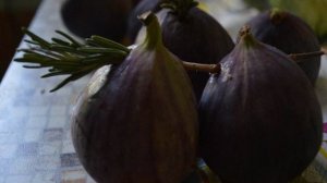 Шашлычки из инжира на розмарине