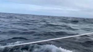 Путешествие по балтийскому морю на яхте⛵️?