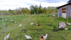 Давление на автополиве не хватает,делаем так!!