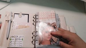 мои 3 ежедневника