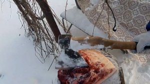 Венгерская мангалица мясо с горохом