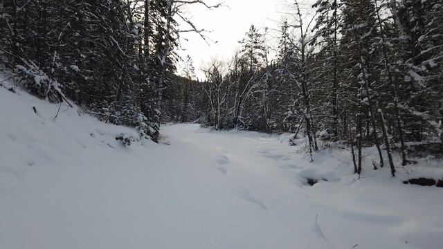 Белокуриха: из Лесной сказки в сторону Синюхи смотреть онлайн