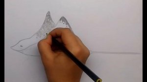 Как нарисовать ската