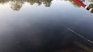 РЫБАЛКА В ПОЛНОЛУНИЕ! ПРОВЕРКА РЫБАЦКИХ ПОВЕРИЙ!