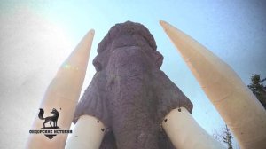 Попрыгунья-стрекоза