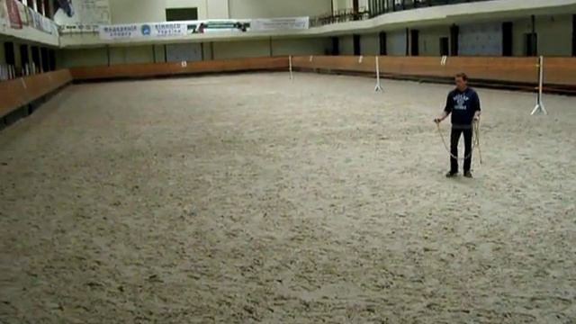Эмиль Фуст. Работа с лошадью на свободе