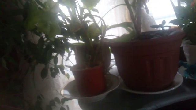 Во время 🌩️💦🌞😭😁