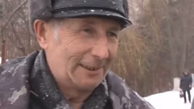 Бродячие собаки смотреть онлайн