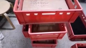 Дендробена. Нужно ли раскислять субстрат.