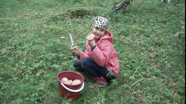 Грибы Багаряк 2014