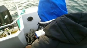 Морская рыбалка с катера в Анапе. Зимний ласкирь и черноморский окунь.