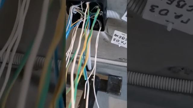 Расключение распаячной коробки ⚡️