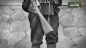 Обществознание 9 класс (Урок№3 - Политический режим.)