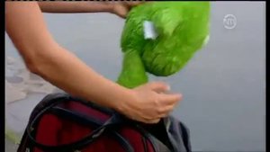 Best of just for laughs улётные приколы скрытой камерой