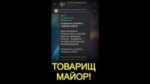 Вопрос к товарищу Майору. (24.07.24)