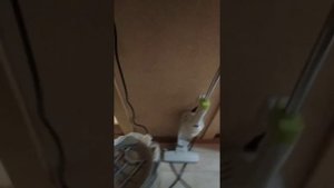 Отзыв о пылесосе или электровенике Midea с Ali