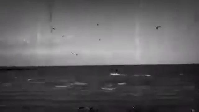 Балтиец кайтинг. смотреть онлайн