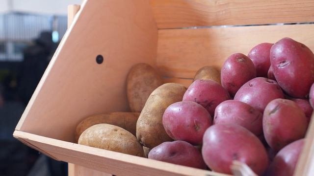 ГДЕ И КОГДА ПОЯВИЛАСЬ КАРТОШКА