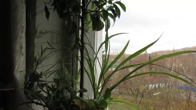 Уходит всё...