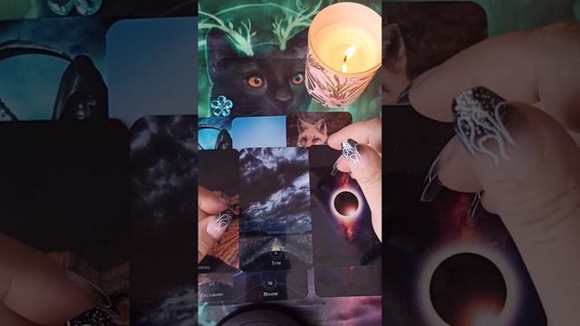 БУМЕРАНГ ВРАГУ, ПОСЛЕ ВАШЕЙ ЧИСТКИ. смотреть онлайн