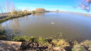 Две разные техники ловли форели на бомбарду