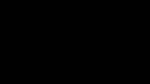 CASIO 1550(10) смотреть онлайн