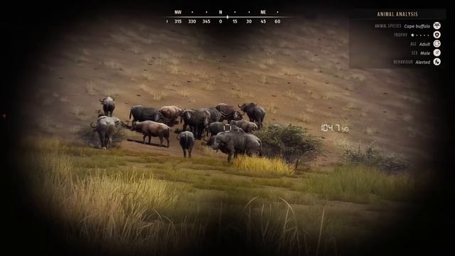 Let's Do the Tikamoon Plains Missions LIVE Today! | Way of the Hunter смотреть онлайн