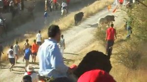 encierro por el campo brihuega cuesta de las naves 16-8-2012 maken3