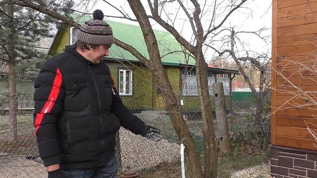 Лучший способ побелки деревьев