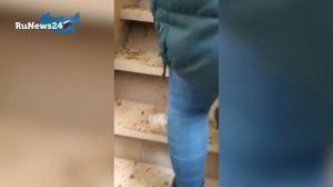 Куриная ферма прямо в квартире