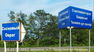 16-22 06 2023 г., деревня, часть 7. Прогулки на природе.