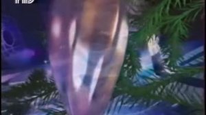 Наташа Королёва   Зимние месяцы клип 1997