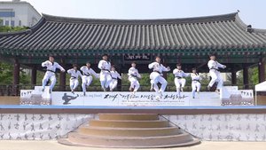 Боевые искусства мира. Тхэккён