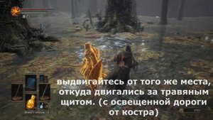 Dark Souls 3 - уголь Фаррона, травяной щит и многое другое