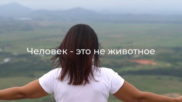 Кто мы...