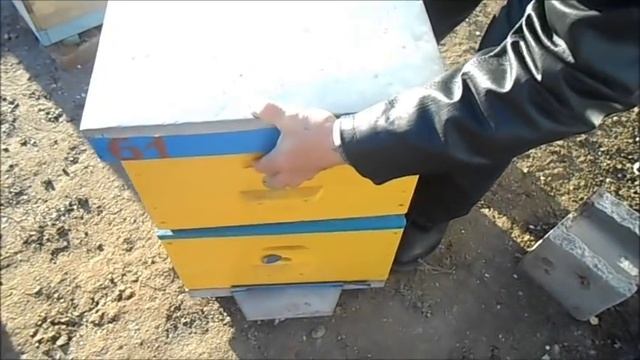 Расширение пасеки когда нет денег. смотреть онлайн