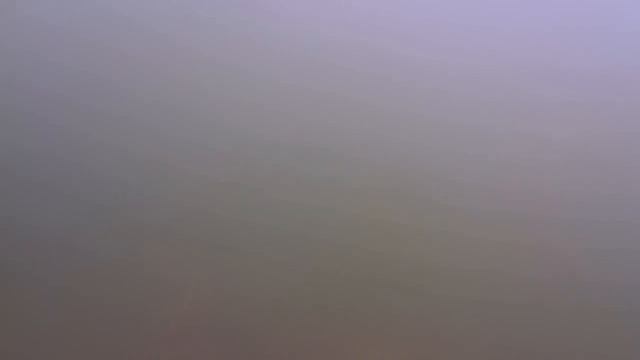 Подводная охота на Москва реке! Огромный клыкастый Судак! Макс Наумкин! смотреть онлайн