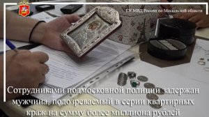 Полицейскими задержан мужчина, подозреваемый в серии квартирных краж на сумму более миллиона рублей